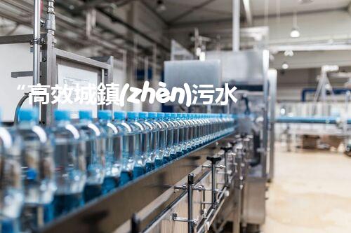 “高效城鎮(zhèn)污水處理流程，守護(hù)碧水藍(lán)天新篇章”